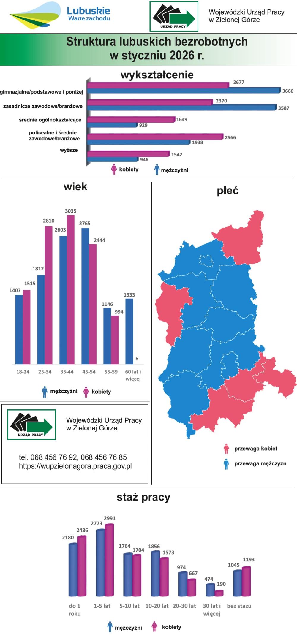 Struktura lubuskich bezrobotnych w styczniu 2026