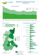 Zdjęcie artykułu Sytuacja na lubuskim rynku pracy - infografika - czerwiec 2024